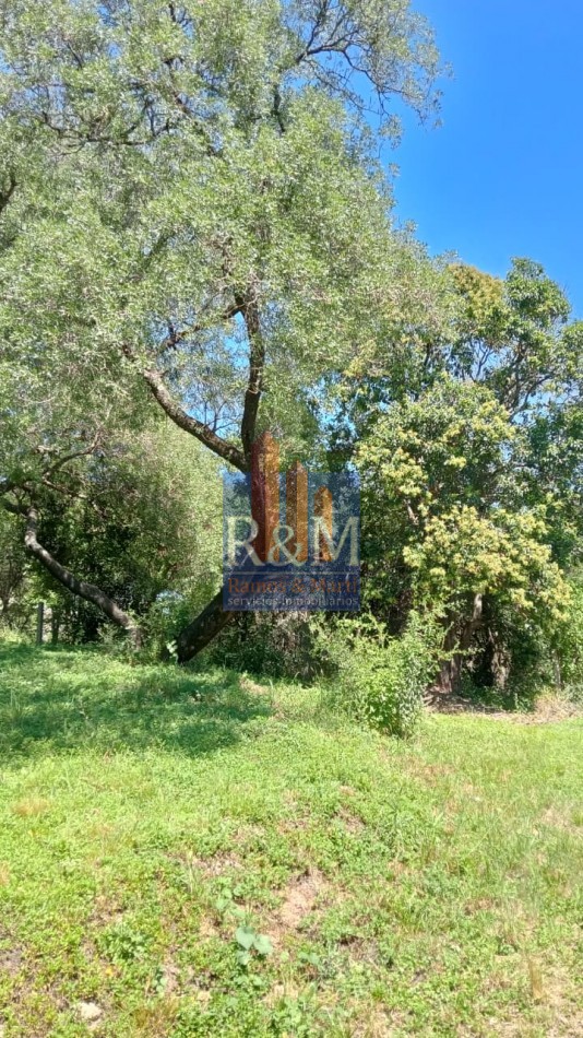 RIO CEBALLOS: LOTE 715 M2 CON ESCRITURA